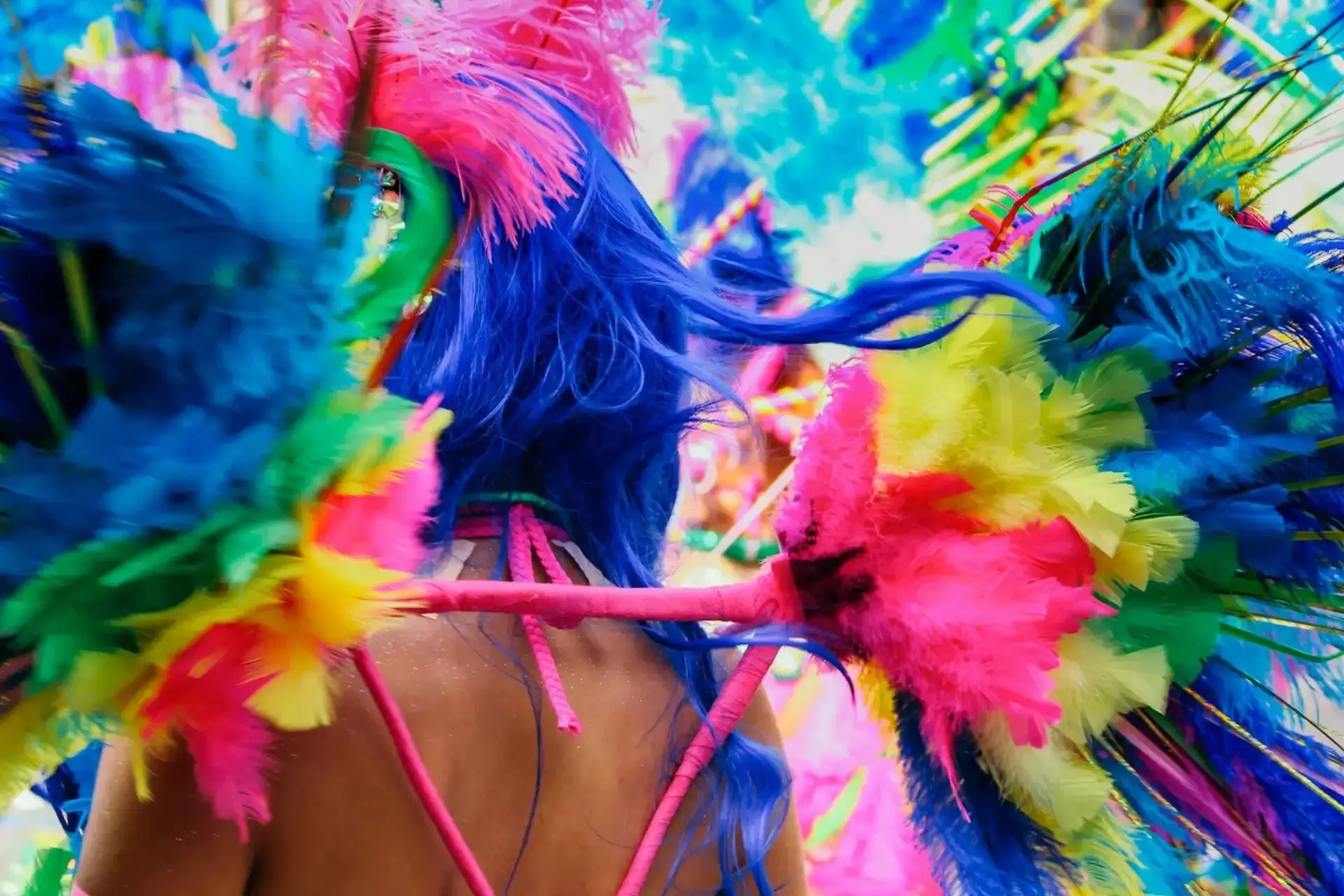 portfolio 1 uai Dgitalroots | Innovative Web design Curaçao