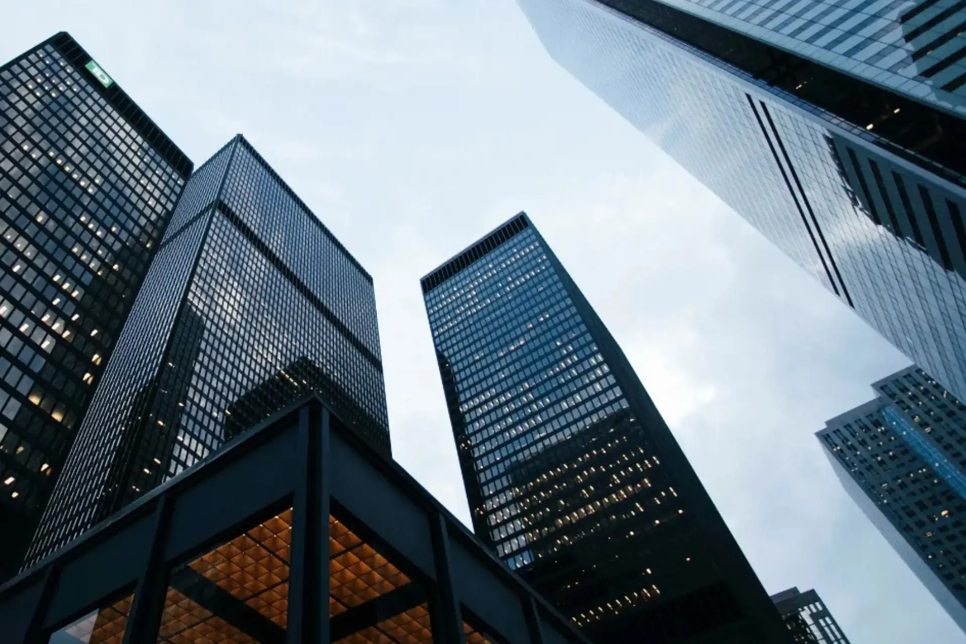 portfolio 3 uai Dgitalroots | Innovative Web design Curaçao