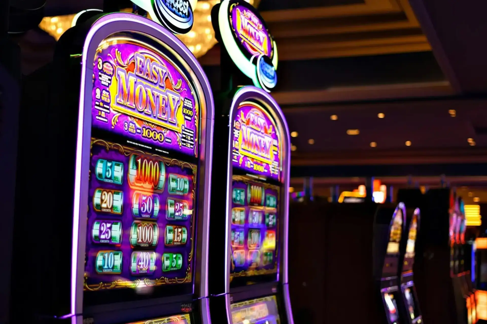 portfolio 4 uai Dgitalroots | Innovative Web design Curaçao