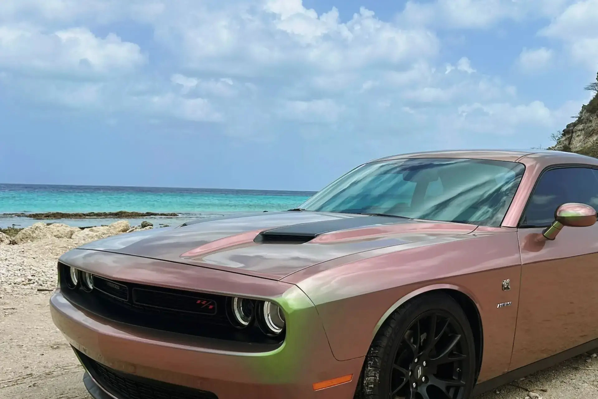 portfolio 6 uai Dgitalroots | Innovative Web design Curaçao